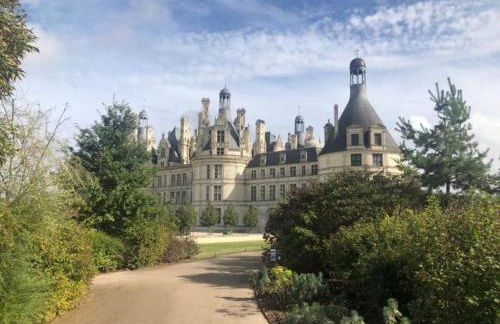 Grand loft d'artiste au coeur de Vendôme - Foto 47