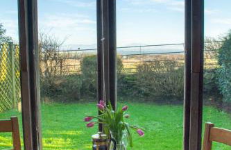 Cabbage Patch - Foto 9