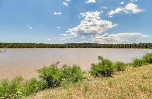 2 Mi to Rainbow Lake: Lovely Lakeside Tiny Home - Foto 3