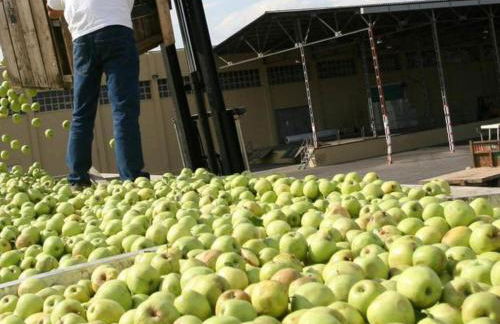 Casa vintage con piscina, WiFi y jardín en zona tranquila de Sant Pere Pescador - ES-89-120 - Foto 29