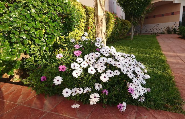 Artistica Suite - La Colline - Foto 8