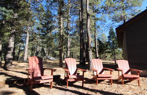 Aspen Springs Angel fire - Foto 74