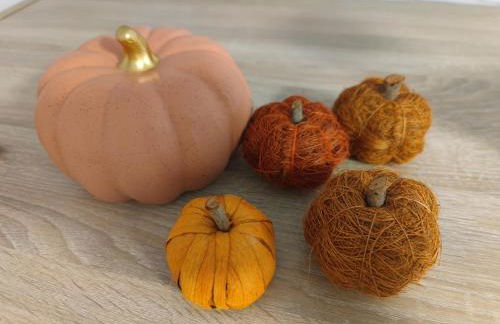 ALOJAMIENTO MIRABUENOS - Photo 17