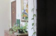 Três quartos Graça - Foto 12