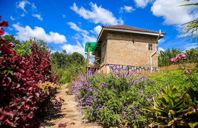 Apuuli Safaris & Cottages - Photo 10