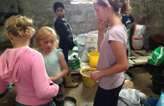 The Mill House at Cwmiar Farm - Relaxing Holidays - Photo 16