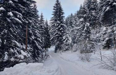 Apartament Koninki - Foto 10