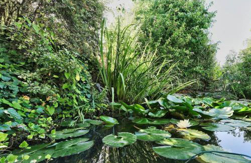 Chez Patricia en Beaujolais - Foto 33