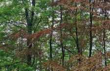 Ferienwohnung Vido - Nordhalben - Foto 12