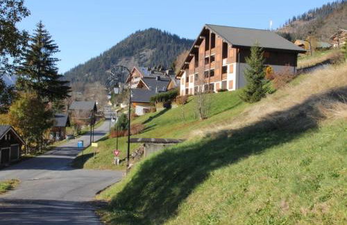 Charmant 3 pièces à Châtel avec balcon, proche pistes et navettes, pour 6 personnes - FR-1-676-62 - Foto 14