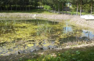 Zacisze Nad Stawami - Foto 14