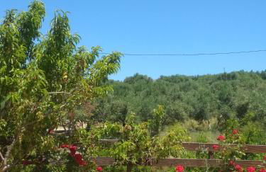 Eden Garden Luxury Loft near Knossos - Photo 33