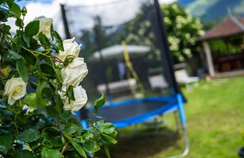 Biohof Gala - Foto 16