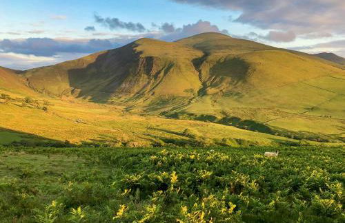 Brook House 2 - Uk31043 - Foto 25