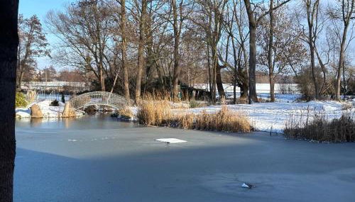 Ferienwohnung Domaene Kermen - Foto 4, Garden
