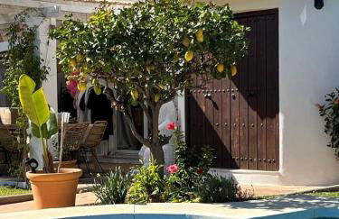 Lovely villa in San Pedro de Alcantara, Marbella - Photo 6