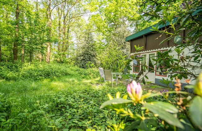 Beautiful Mansion on the Water - Foto 15