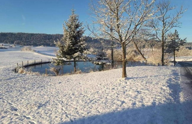 Ferienhaus in Meisdorf - Foto 34