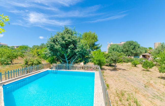 Hort De Can Bou in Porreres - Foto 3