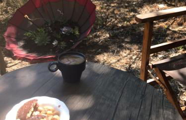 Sol's Place - Photo 21