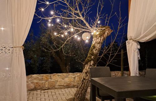 Poço e Meio - Padel & Pool - Foto 77