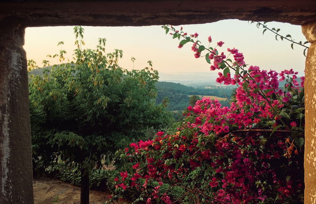 Masia Can Pou - Photo 41