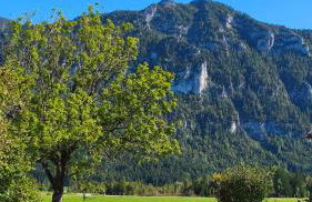 Alpen-Oase - Gemütliche FEWO mit Terrasse - Foto 15