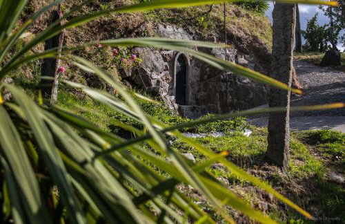 Quinta Das Rossadas - Photo 14