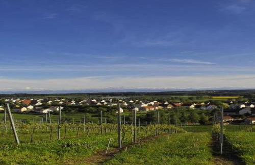 Ferienhaus in Markdorf mit Pool - Foto 34
