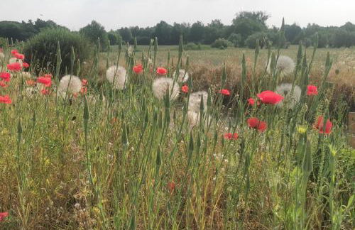 Landhaus Arcadia in Paretz - Foto 4
