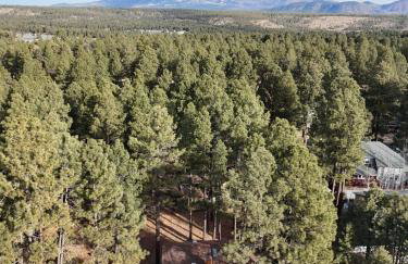 Pinewood Lodge - Backs to Forest - Near Downtown! - Foto 19