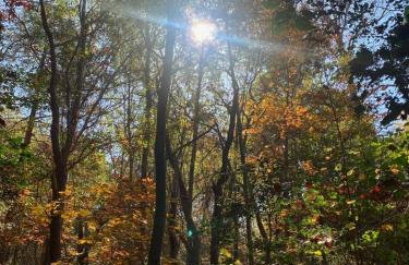 In the Woods by a Pond! Sugar Ranch Guest House! - Foto 31