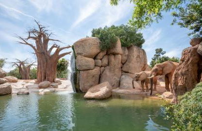 Seaviews Los Olivos - Photo 33