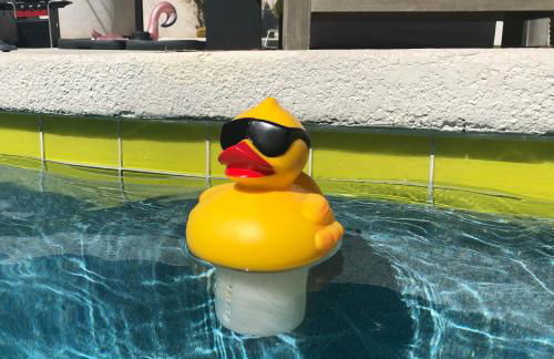 Amarillo House - Luxury Home with Pool & Spa - Foto 17