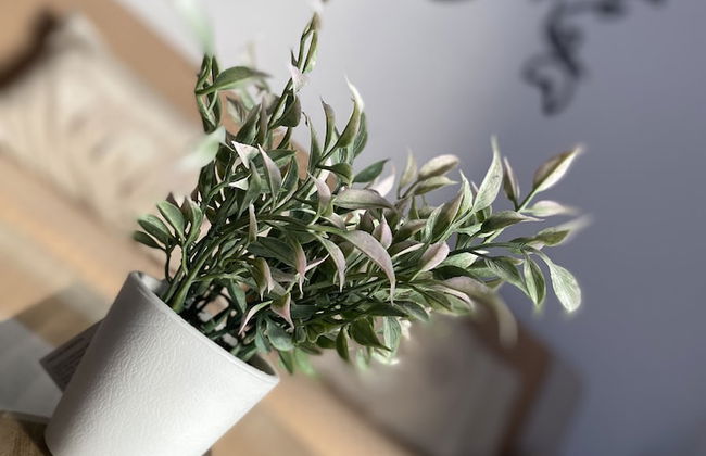 TIERRA ALOJAMIENTOS - Foto 35