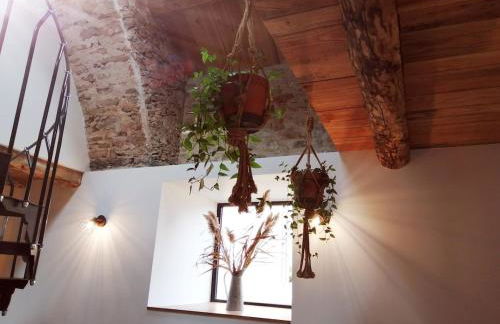 Gite Clémarie Maison de caractère sur le Larzac - Photo 19