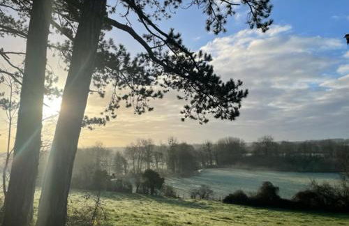 Gites Les Rainettes - Foto 24