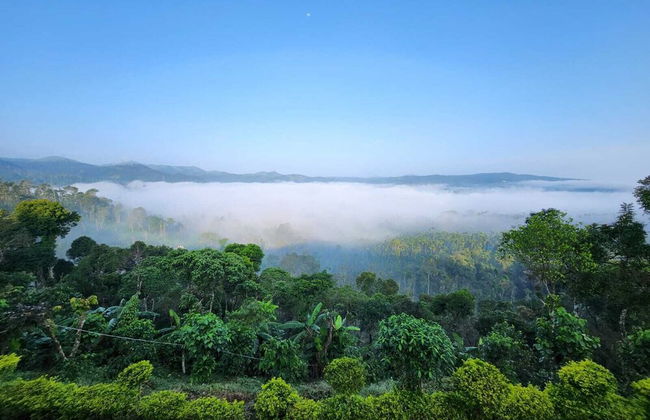 I-ROOMZ Donimoole Homestay - Foto 13