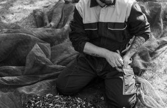 San Carlo a La Molinella - Photo 57