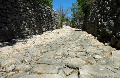 Slow house d'encosta - Foto 48