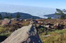 Traumblick FeWo mit Pool - Foto 35