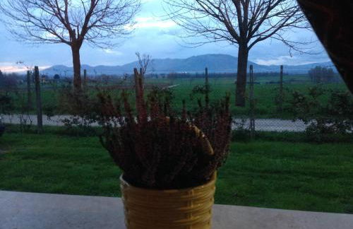 Dreams Valley - Foto 72