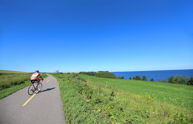 Parc Octopus - Foto 26