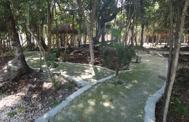 Tropical Paradise Apartment - Photo 25