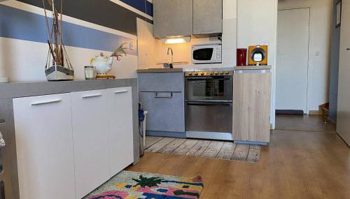 352 - Appartement T2 avec une vue imprenable sur le Cap Fréhel - Foto 5