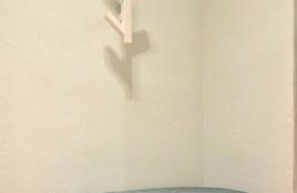 Il Fico d'India - Photo 11