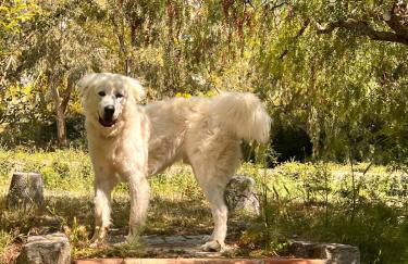 Mandra Chiusilla - Foto 46