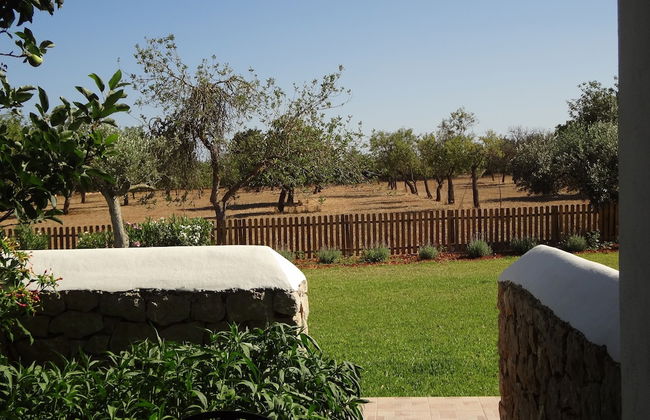 Agroturismo Sa Vinya d'en Palerm - Foto 17