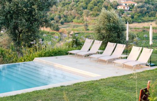 Feel Discovery Casa da Granja Douro Valley - Foto 1