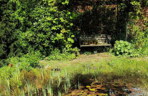 Ferienwohnung am Atelier Horn - Photo 26